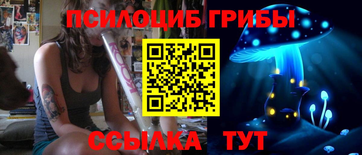 Псилоцибиновые грибы Cubensis Бахчисарай